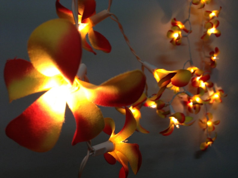 Vintage Yellow With Orange Frangipani Flower String Lights Etsy