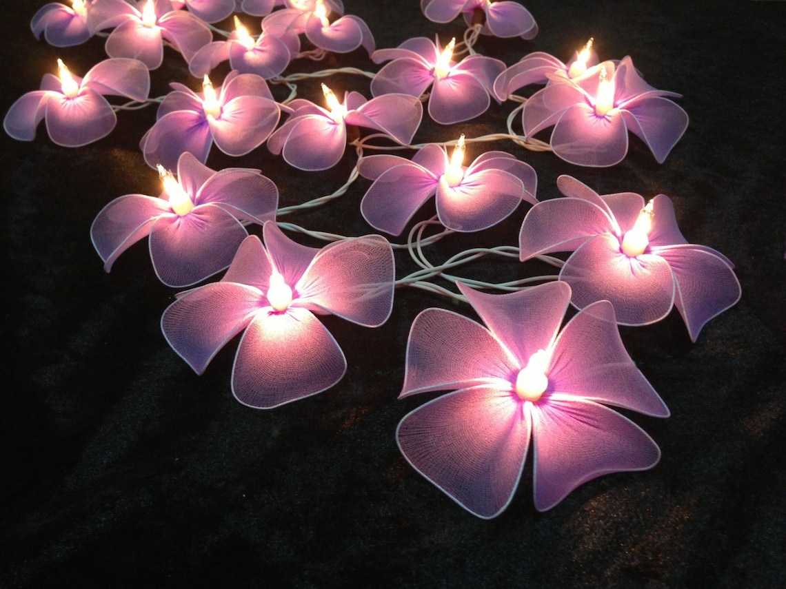 Pale Purple Flower String Lights for Patioweddingparty and Etsy