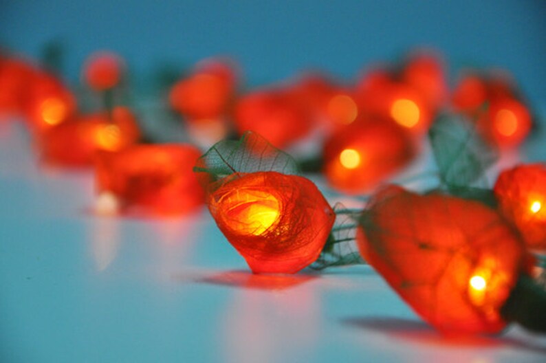 Dark Orange Rose String Lights for for Patioweddingparty and Etsy