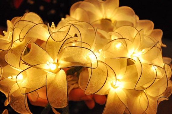 White flower cheap string lights