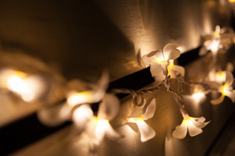 20 LED Tropical Frangipani Flower String Lights ? Battery-Operated Fairy Lights for Home, Wedding, and Party Decoration main image 0