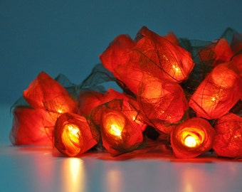 Dark orange Rose string lights for for Patio,Wedding,Party and Decoration (35 bulbs)