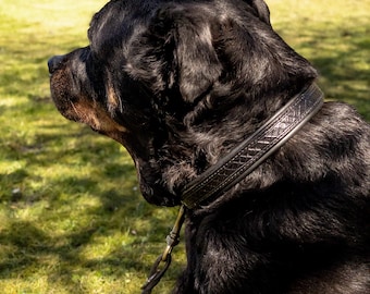Collare per cani in pelle nera lavorato a mano, equipaggiamento artigianale imbottito personalizzato per animali domestici