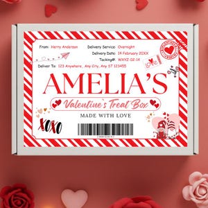 May include: A white box with a red and white striped border. The box is labeled "AMELIA'S Valentine's Treat Box" with "Made with Love" below. Includes a barcode and the text "XOXO".