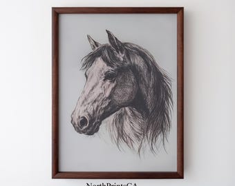 May include: A framed black and white sketch of a horse's head. The artwork features detailed shading and a light background. The frame is a dark brown color. The text "NorthPrintsCA" is at the bottom of the image.