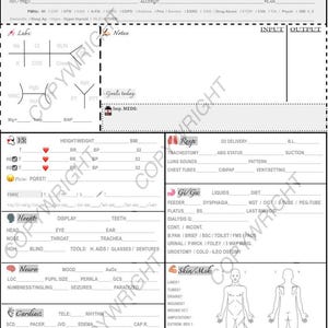 Peut inclure: Un tableau médical avec des sections pour les informations du patient, les signes vitaux et les évaluations. Le tableau comprend des espaces pour les analyses, les notes et les entrées/sorties. Il est destiné aux professionnels de la santé.
