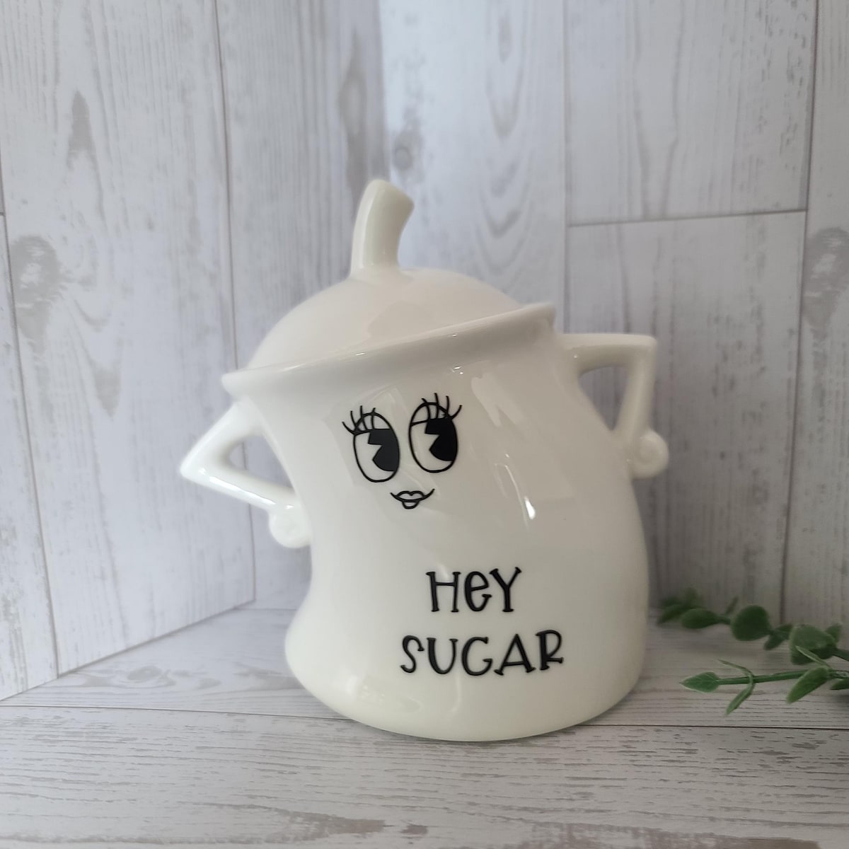 Fun Flour, Sugar, and other Kitchen Containers