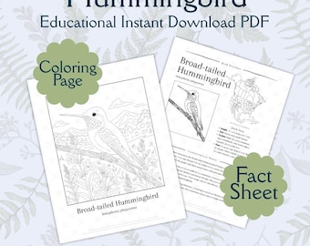 Hummingbird Coloring Page & Bird Facts: Educational Wildlife Art (Printable PDF Download)