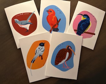 Birds of Madagascar notecard set