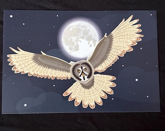 Owl in Flight art postcard