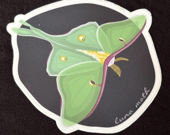 Luna moth vinyl sticker
