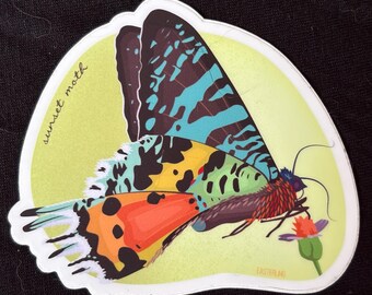 Sunset moth vinyl sticker