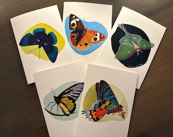 Butterfly and moth notecard set