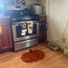 Hand-tufted Pumpkin Rug - Etsy
