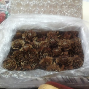 May include: A close-up of a box filled with brown pine cone rosettes. The rosettes are arranged in a single layer and are all facing the same direction. The box is lined with a clear plastic bag.