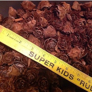 May include: A close-up of a large quantity of brown pine cones, arranged in a circular pattern. A yellow measuring tape with the words "SUPER KIDS" printed on it is partially visible in the bottom right corner of the image.