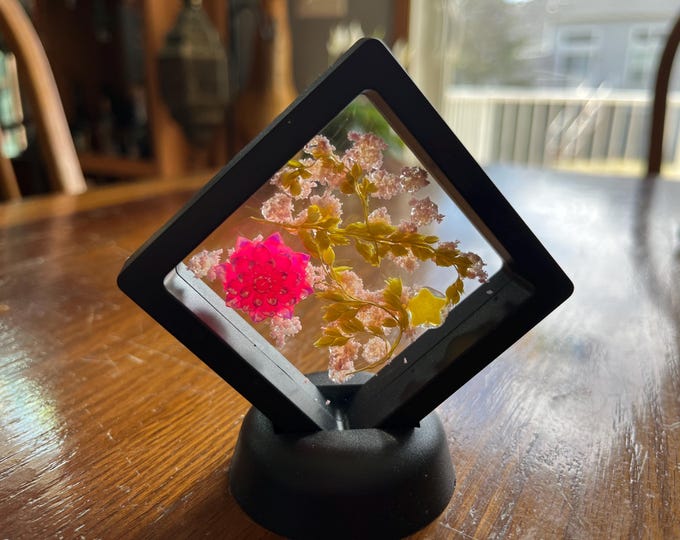Art Shenanigans - whimsical fun for any space and any one.