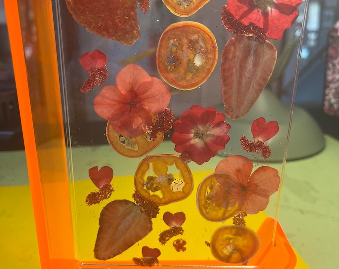 Brilliant Orange Dried Flower/Fruit Display