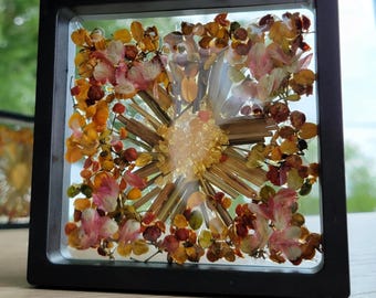 Black framed dried flower art