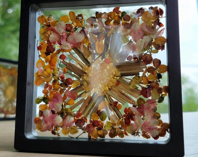 Black framed dried flower art