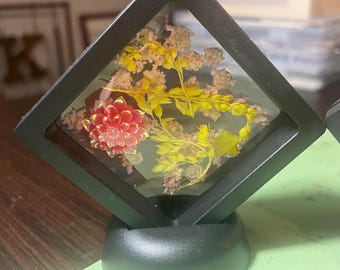 Travesuras artísticas: diversión original para cualquier espacio y para cualquier persona.