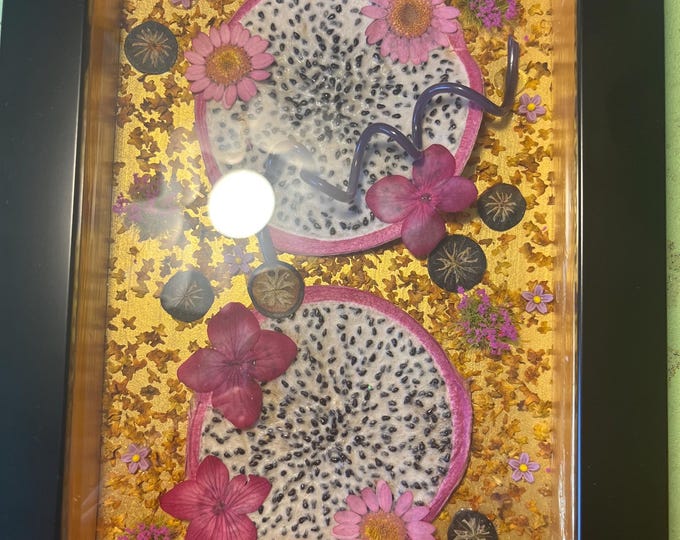 Black Framed, Dried Flower/Fruit Display