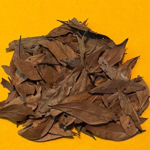 Organic Oak Leaf Litter
