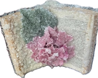 Crystallized Classics - Crystallized Books