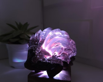 Handmade Resin hedgehog Lamp: Burl Wood & Decorative RGB LED Light. Gift for Loved Ones
