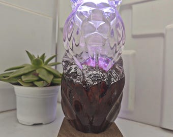 Handmade Lion Lamp: Wood & Resin, RGB LED Light. A gift for a loved one.