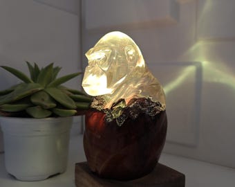 Handmade Resin chimpanzee Lamp: Burl Wood & Decorative RGB LED Light. Gift for Loved Ones