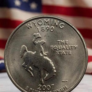 2007年 P&D ワイオミング州 25セント硬貨 流通品 米国造幣局 25セント コイン コレクターズアイテム カウボーイ バイソン コイン