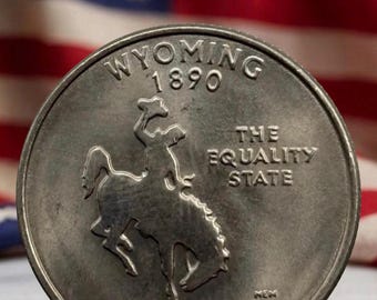 2007 D Wyoming State Quarter - Etsy