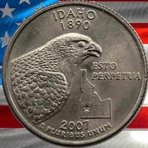 2007 P & D Idaho State Quarter Circulated US Mint 25C Coin Collectible Mountain Scenes Coin