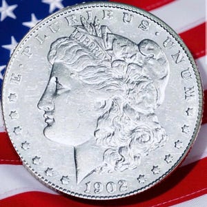 May include: A silver Morgan dollar coin from 1902, featuring a profile of Liberty and the inscriptions "E PLURIBUS UNUM" and "LIBERTY." The coin is set against a backdrop of the American flag.