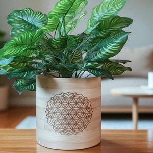 Peut inclure: Un pot de fleurs décoratif en bois avec un motif géométrique, contenant une plante verte luxuriante aux grandes feuilles rayées. Le pot est cylindrique et posé sur une surface en bois. L'arrière-plan comprend un canapé, des tables d'appoint et une fenêtre.