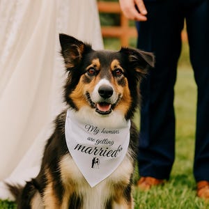 Wedding Pet Bandana, Dog Wedding Accessory, Bridal Party Dog Gear, Cute Dog Bandana for Celebrations, Pet Wedding Outfit