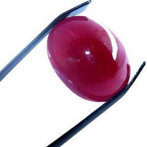 May include: A polished, oval-shaped, deep red gemstone is held by a pair of black tweezers against a white background. The gem has a smooth, glossy surface, reflecting light. The tweezers are positioned to securely grasp the stone.