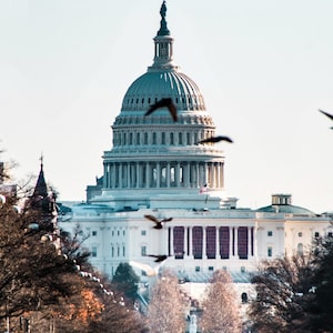 Washington D.C. Capitol Posters – Digital Wall Art Set