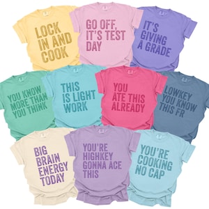 Test Day Shirt, Matching State Testing Tshirts, Invigilator Shirts, Comfort Colors, Gen Z School Testing Day Tee, Testing Coordinator Shirt