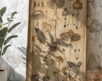 Impressão artística de variedades de cogumelos vintage | Pôster de ilustração botânica de cogumelos antigos | Arte de parede de cogumelos com rótulo científico