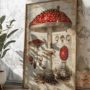 Vintage Fliegenpilz Kunstdruck | Antike botanische Illustration Poster | Beschriftet Fliegenpilz Fungi Wall Art
