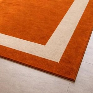 Modern Orange Area Rug with Cream Border Handmade Minimalist Living Room Carpet by AHSAN RUGS