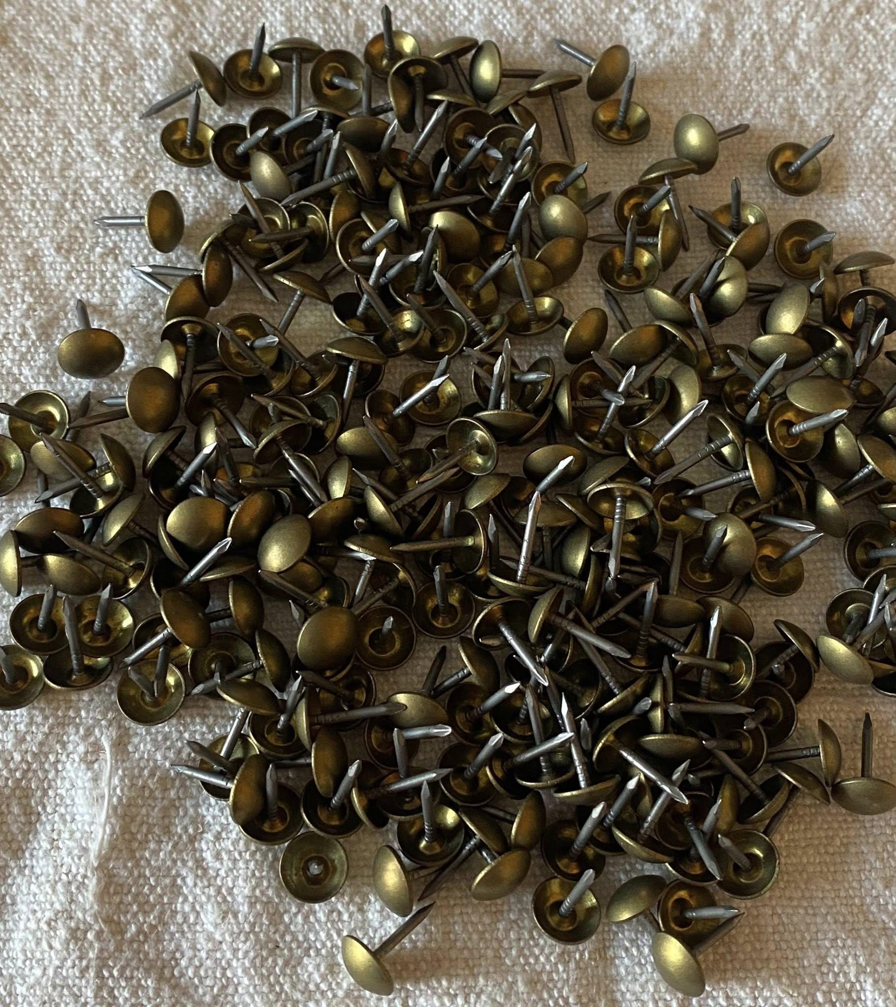 Lot 35 Clous Tapissiers / Punaise Tête 8 Mm Argenté – Hauteur 15 Mm – Fixation Mémos, Photos, Panneau Liège