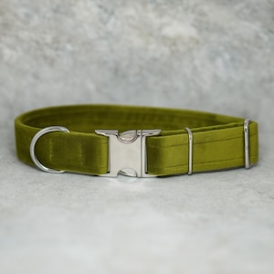 Handmade Velvet Dog Collar with a Moss Buckle