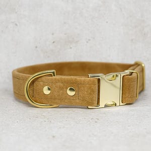 Handmade Velvet Dog Collar with Buckle Savanna