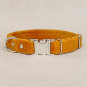 Handmade Velvet Dog Collar with Buckle Honey