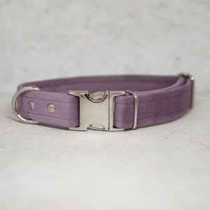 Handmade Velvet Dog Collar with Lilac Buckle