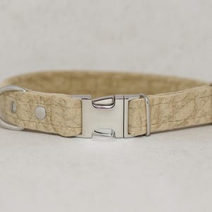 Handmade Velvet Dog Collar with Desert Buckle