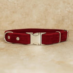 Handmade Velvet Dog Collar with Buckle Honey